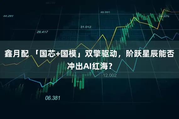 鑫月配 「国芯+国模」双擎驱动,阶跃星辰能否冲出AI红海?