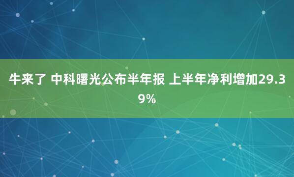 牛来了 中科曙光公布半年报 上半年净利增加29.39%