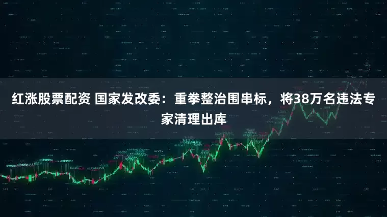 红涨股票配资 国家发改委：重拳整治围串标，将38万名违法专家清理出库