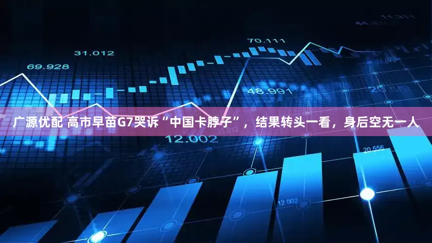 广源优配 高市早苗G7哭诉“中国卡脖子”，结果转头一看，身后空无一人