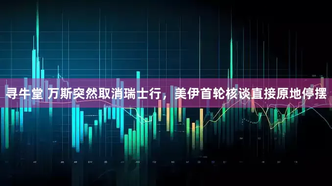 寻牛堂 万斯突然取消瑞士行，美伊首轮核谈直接原地停摆